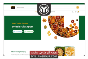 نمونه کار طراحی سایت شرکت بازرگانی میرکی