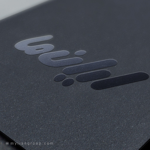 نمونه کار طراحی لوگو لیانما