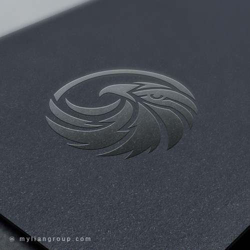 طراحی لوگو شرکت پرواز